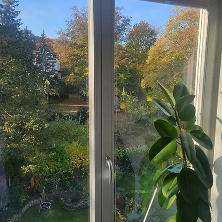 Appartement Wohnen Am Steiger In Sued Erfurt